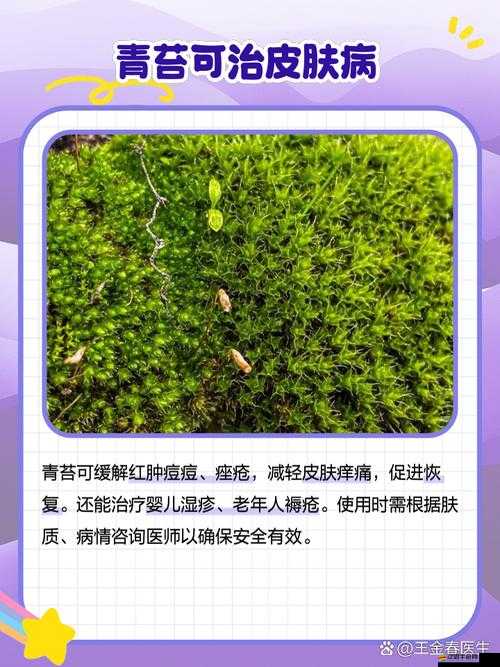 冰原守衛者游戲中青苔的多種作用及其重要性解析