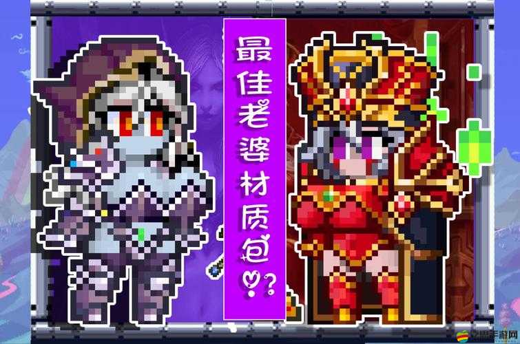 泰拉瑞亞隱藏時裝獲取途徑及屬性加成全解析