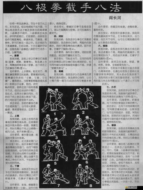 深入解析大掌門太極拳經，揭秘其屬性解鎖與實用性的終極奧秘
