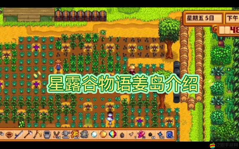 星露谷物語1.5版本全新探索，解鎖姜島，開啟一段奇幻而豐富的冒險之旅