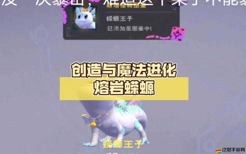 創造與魔法游戲中，蠑螈捕捉所需保底飼料包數量的詳細解析