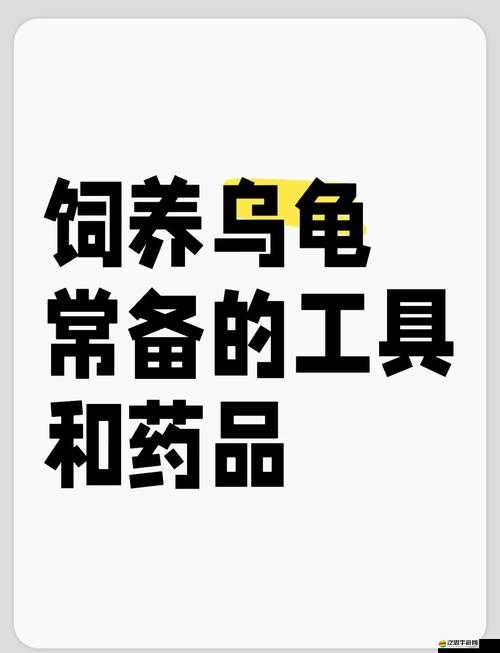 魔法與創造融合，全面解析龜飼料制作技巧與高效烏龜捕捉指南