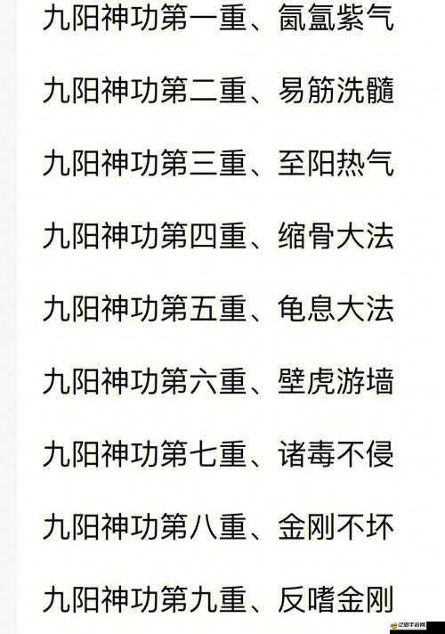 俠客風云傳前傳中九陽神功獲取全秘籍及其強大威力深度解析