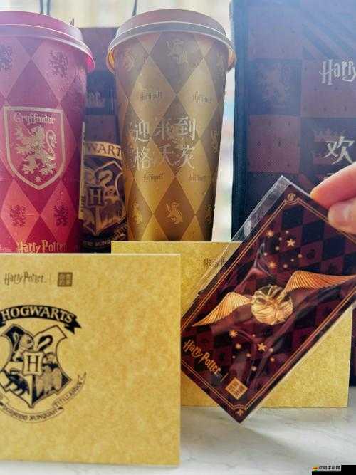 哈利波特卡牌游戲新手入門(mén)指南，如何玩轉(zhuǎn)并高效獲取新卡牌