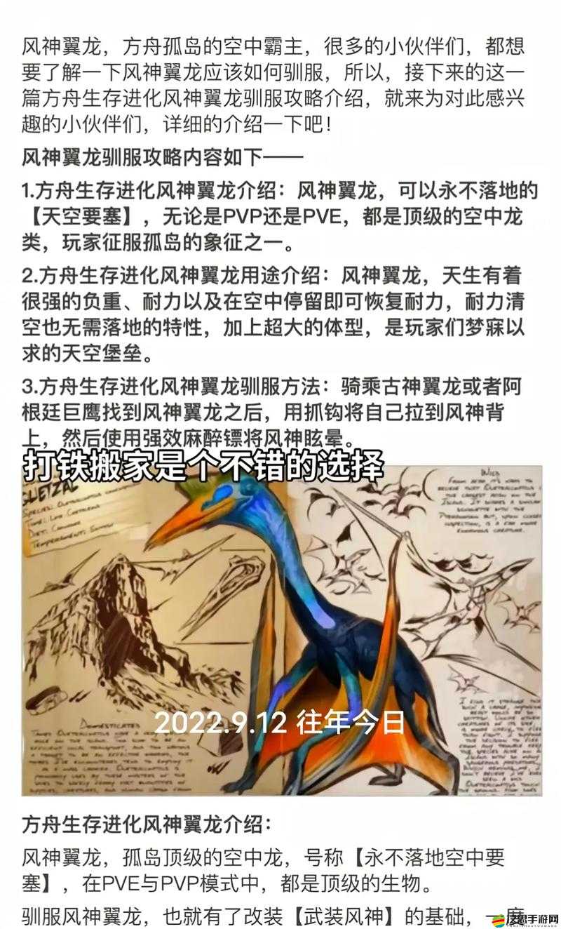 探索黑暗與光明世界，生物馴服技巧及其對生存與發展的重要作用