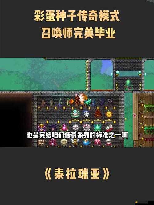 泰拉瑞亞創意工坊，揭秘交互機制下專屬公主的誕生奇跡與定制樂趣