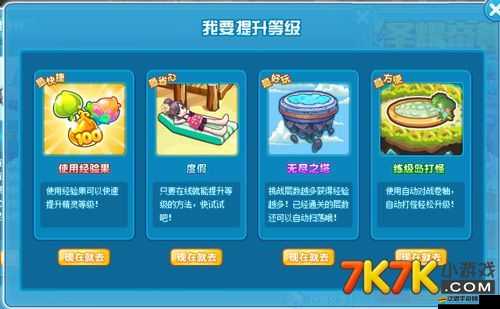 大掌門張無忌傳記深度培養(yǎng)攻略，全面解析等級快速提升方法
