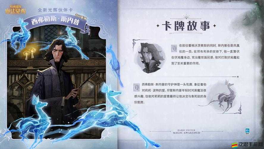哈利波特，魔法覺醒游戲中金卡組合推薦分析，助力玩家戰斗力大幅提升與戰斗游刃有余