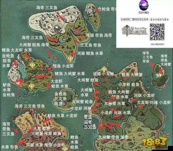 創造與魔法游戲中彈涂魚的最佳垂釣位置及技巧指南