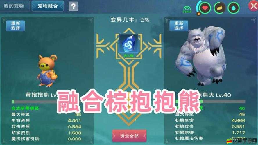 深入自然，探尋創造與魔法中的棕熊蹤跡，揭秘其神秘而獨特的棲息地