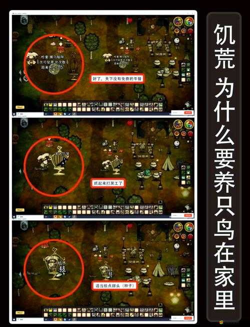 饑荒聯(lián)機版深度探索，全面解析可馴服動物種類及其馴服技巧
