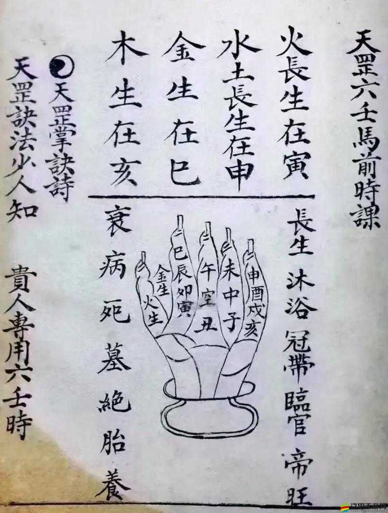 古墓派神秘入口揭秘，究竟如何才能成功進入古墓派？