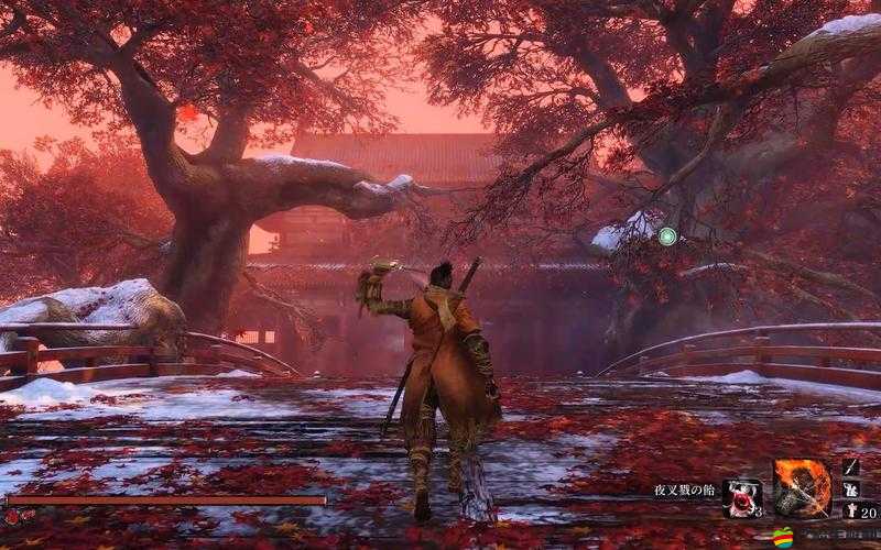 只狼特典版相比普通版有何獨特之處？深度解析助你找到最適合的版本！