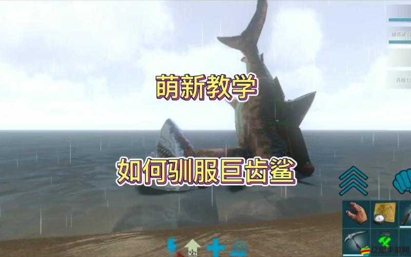 如何揭秘方舟巨齒鯊的訓練秘訣，讓它輕松被馴服？
