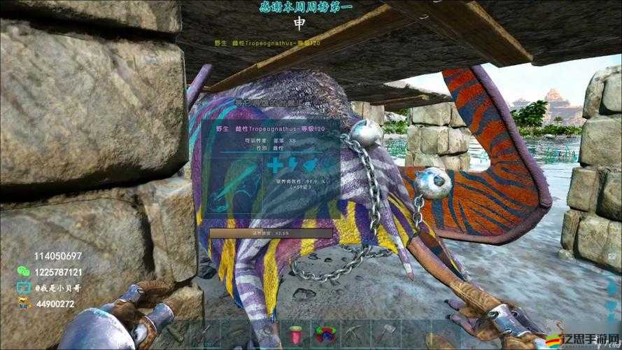 方舟風神翼龍如何馴服？操作難度究竟有多高？——探索其演變史專題