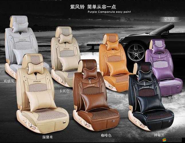 御龍在天如何巧妙換車？深度揭秘卡紫車的神秘方法與技巧？