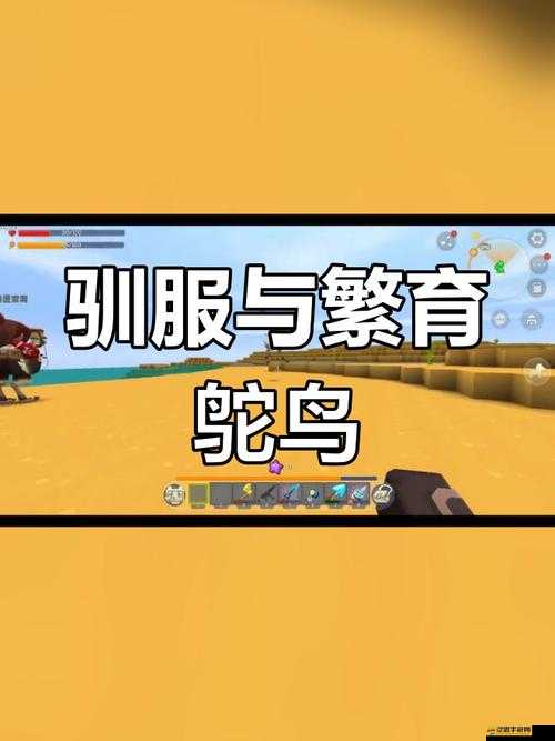 迷你世界雞馴服大揭秘，操作簡單卻鮮為人知的演變史專題，你了解嗎？