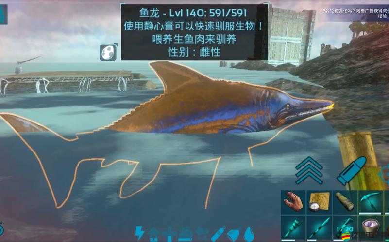 如何訓練魚龍？這種神秘生物的屬性究竟是否強大引人探究？
