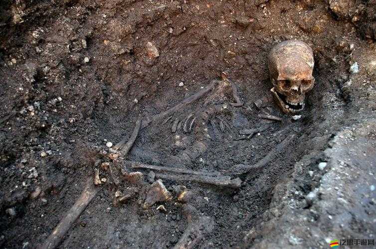 不死人遺骨究竟有何神奇效果？深入解析黑暗之魂遺骨作用