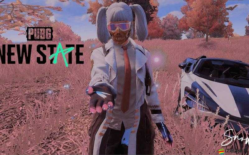 絕地求生面臨挑戰，緩存清理能否預示未來玩法的大革命？