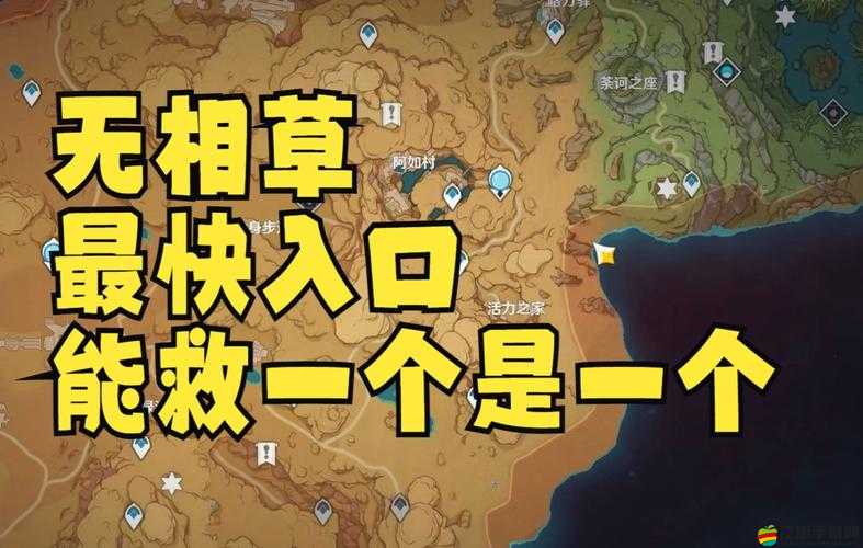 如何開啟無相之草？它的神秘位置究竟隱藏在哪里？