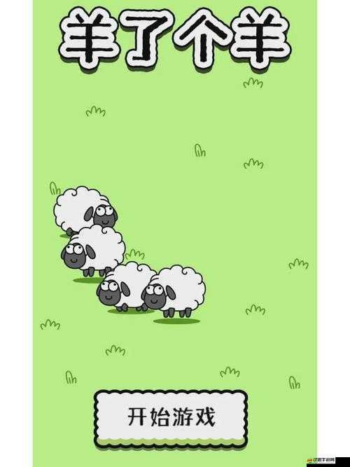 羊了個羊游戲無法進入或打開？別急，這些妙招或許能幫到你！
