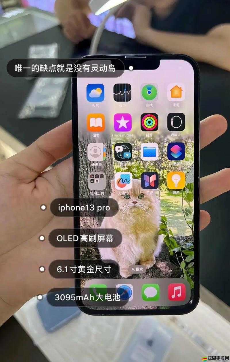 靈動(dòng)島功能在蘋(píng)果13上能否實(shí)現(xiàn)？全面解析支持機(jī)型及其演變史