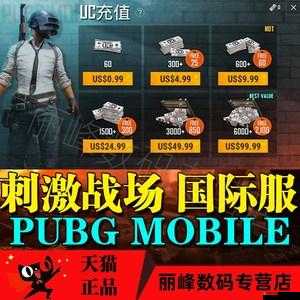 刺激戰(zhàn)場國際服充值與更新背后，隱藏著哪些不為人知的秘密？