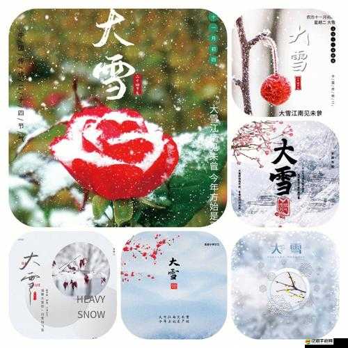 雪花畫質(zhì)助手好用嗎？下載途徑及演變史專題揭秘！