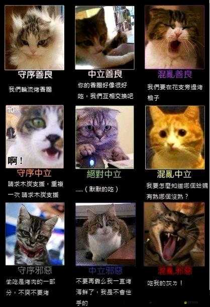 如何精準完成DND陣營測試？從新手到精通的全面攻略揭秘！