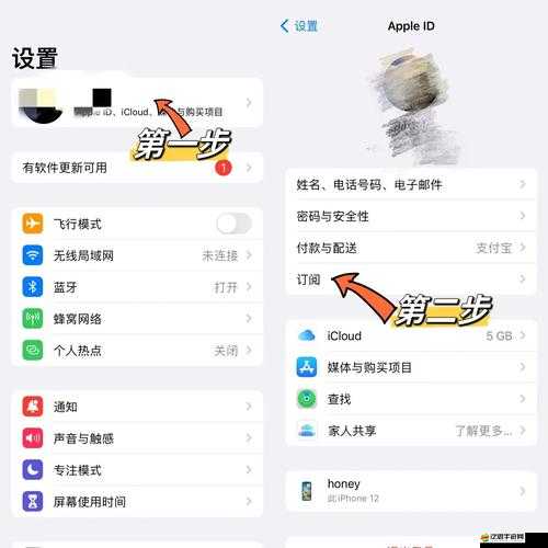 如何有效取消ToonMe蘋果訂閱并停止自動續費？詳細攻略來了！