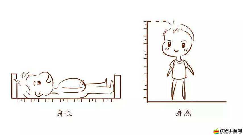 如何制作身長比較圖？揭秘打造趣味身長比較網頁的全方位步驟