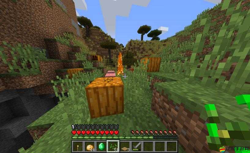 如何在我的世界中從新手蛻變騎馬高手？全面教學(xué)指南揭秘！