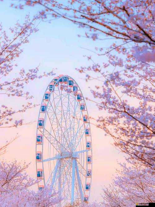 我的賞櫻照將如何引領(lǐng)未來玩法革命？深度預(yù)測(cè)揭曉懸念