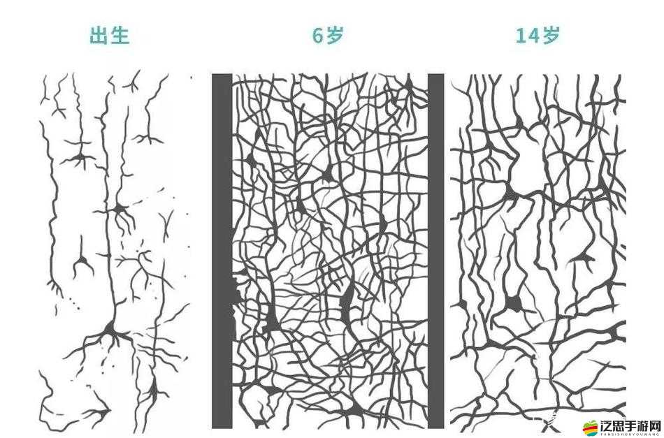 333大腦風(fēng)暴如何演變？揭秘其驚人發(fā)展歷程中的未解之謎
