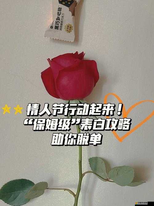 情人節(jié)想脫單？QQ情人節(jié)脫單許可證測試入口究竟在哪里？