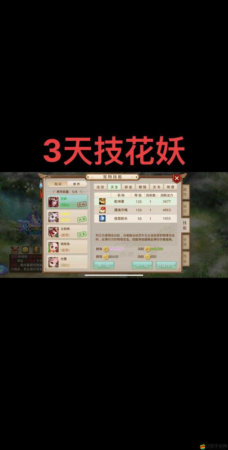 問道手游寵物抗性加點(diǎn)技巧如何演變？揭秘歷代加點(diǎn)懸念！