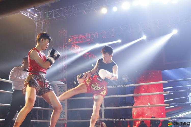 王者爭霸如何組隊？武林爭霸規則詳解，懸念等你來揭曉！