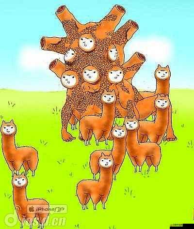 兄貴草泥馬手游如何突破？兇殘進(jìn)化錄第1形態(tài)全攻略揭秘？