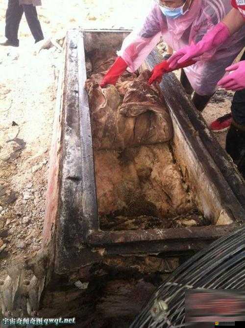 揭秘瘋狂的棺材第十四關(guān)，智慧與勇氣能否通過這場未知的雙重考驗(yàn)？