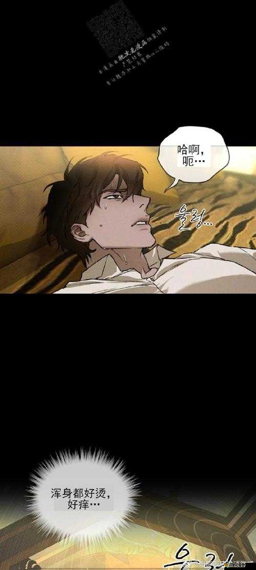 如何巧妙管理資源，突破瘋狂的棺材第四關的終極懸念？