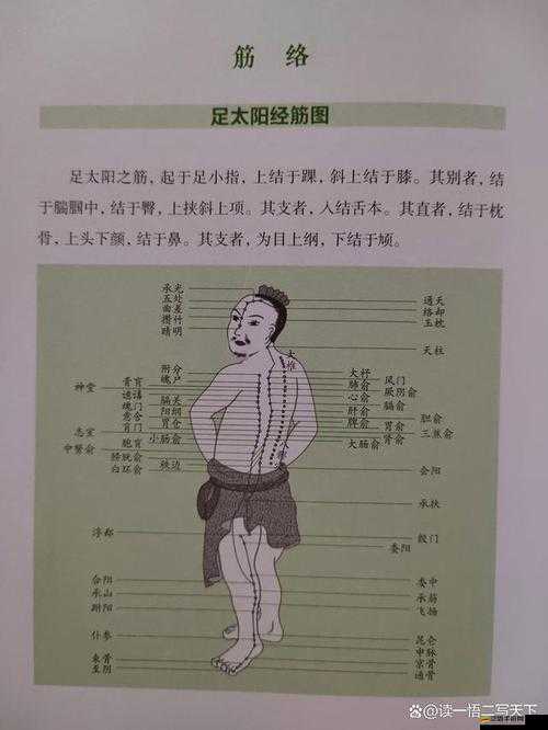 武林浩蕩如何高效打通經(jīng)脈？全面攻略揭秘制造懸念！