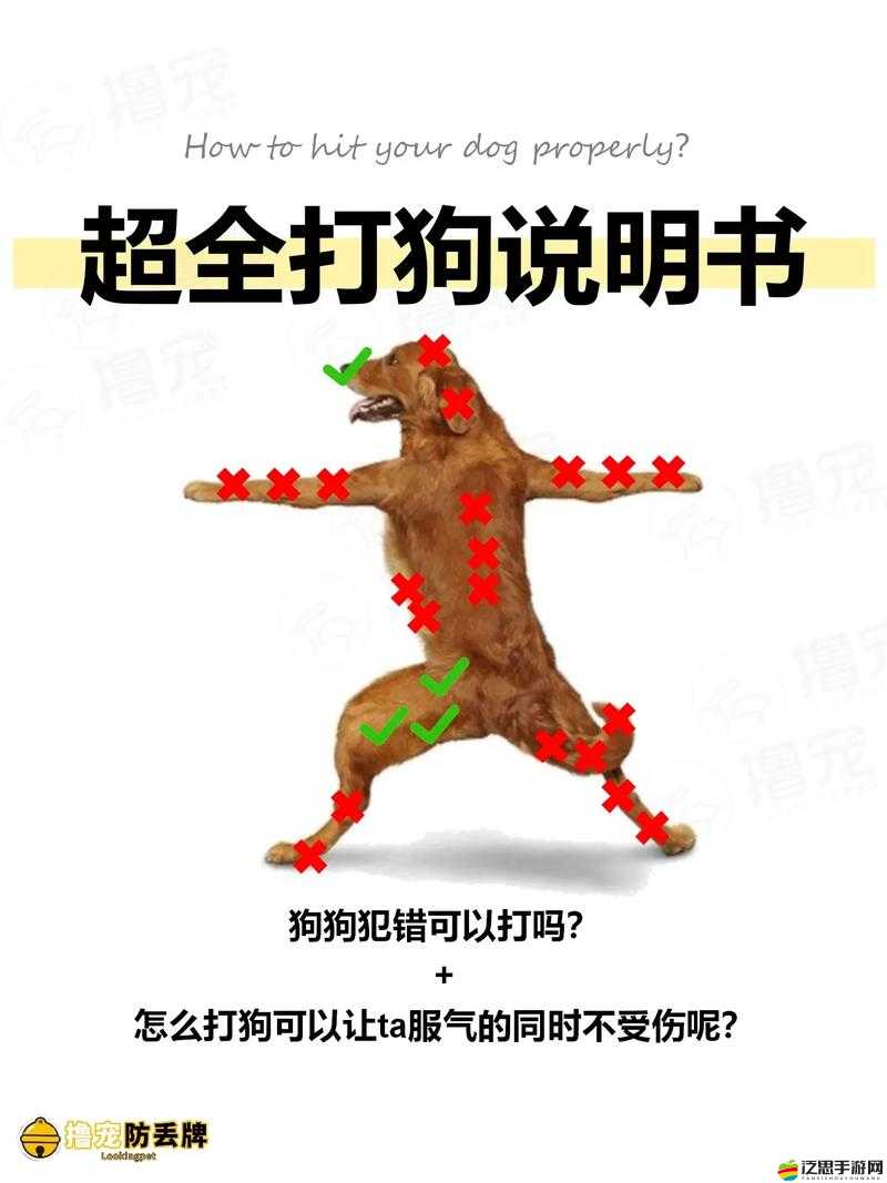 會說話的狗狗本如何玩轉(zhuǎn)？揭秘其底層邏輯與實戰(zhàn)操作技巧！