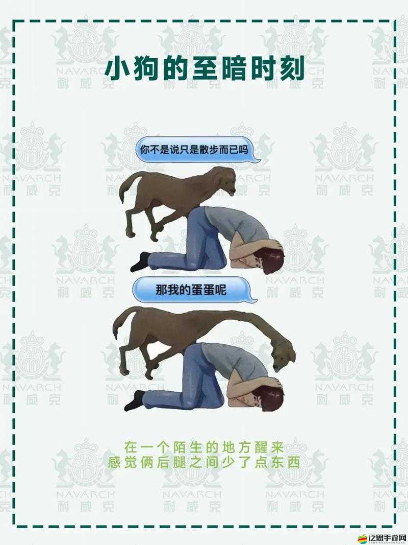 會說話的狗狗本真的那么好玩嗎？一次深度解析帶你了解！