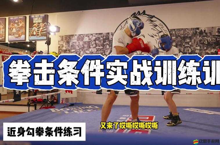 拳擊俱樂部如何高效運用敏捷技能，在資源管理中發揮關鍵作用？