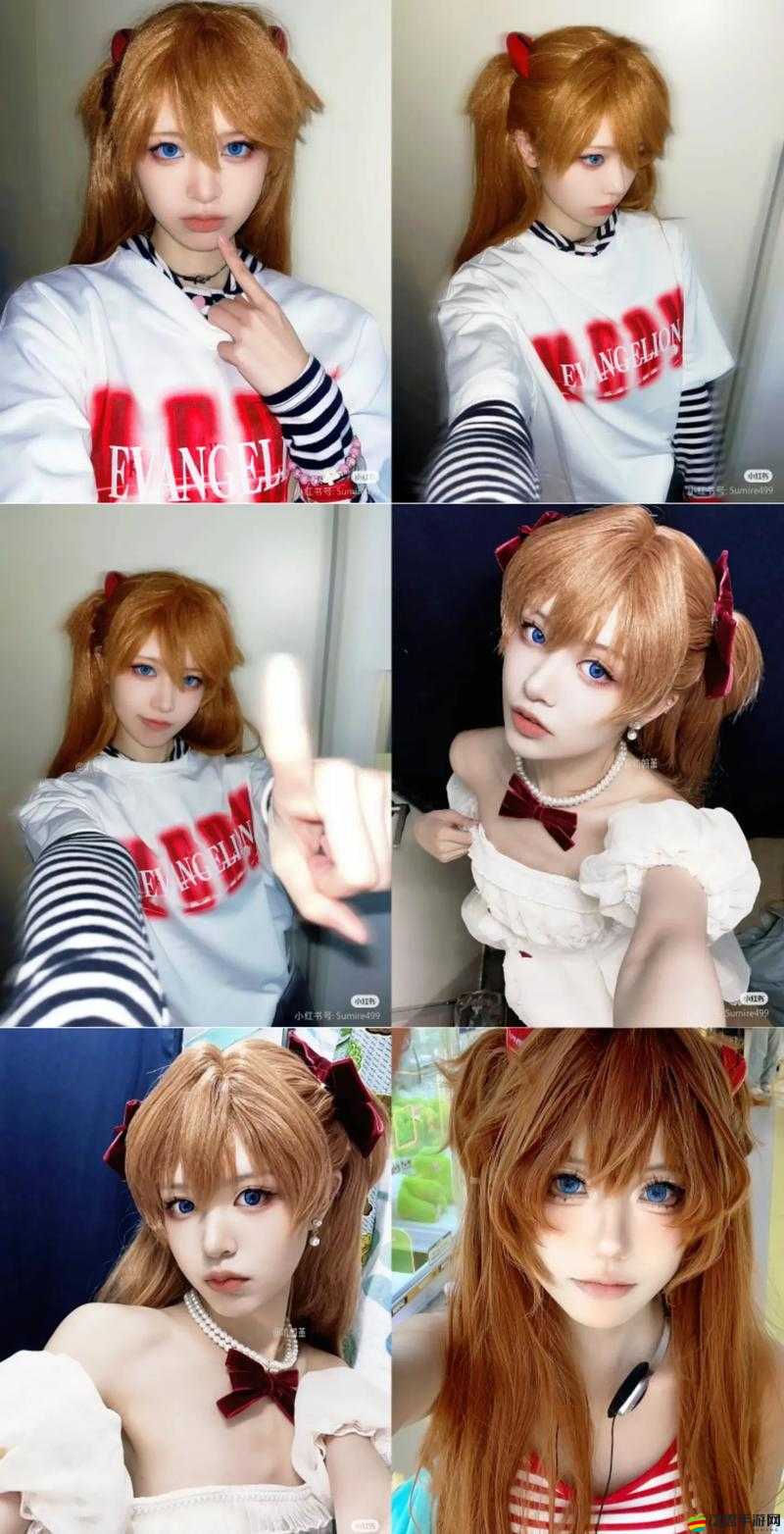 如何在EVA競技場中生存并勝出？全面生存手冊揭秘！