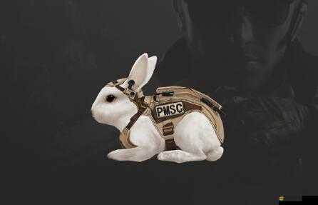 嘻游風暴中玉兔技能如何巧妙搭配？揭秘玉兔技能搭配最強攻略！