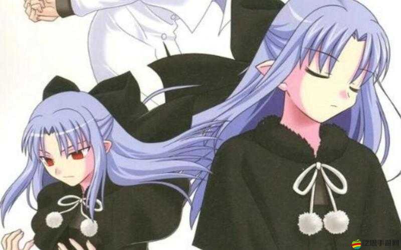 月姬格斗究竟魅力何在？深入解析玩法簡介及演變史專題揭秘