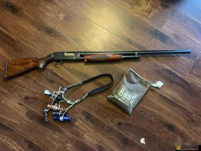 霰彈槍真的是饑餓星球上蜥蜴獵手的終極武器嗎？揭秘真相！