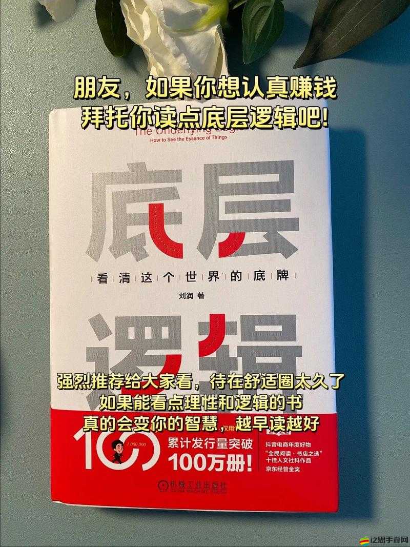 如何深度剖析瘋狂噴氣機通關(guān)的底層邏輯與操作映射，你有哪些心得？